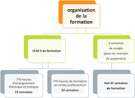 formation aide soignant