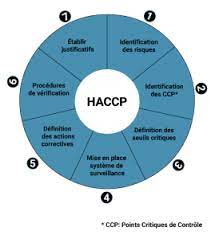 haccp formation