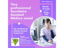 formation assistant social