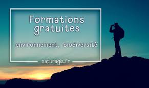 formation a distance gratuite