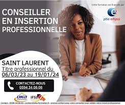 formation conseiller en insertion professionnelle