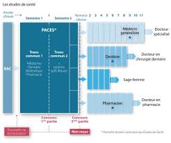 formation sage femme