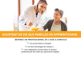 auxiliaire de vie formation