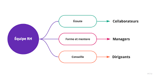 organisation ressources humaines