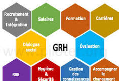 ressources humaines en entreprise