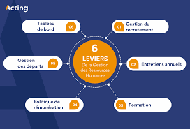 gestion des ressources humaines dans les organisations