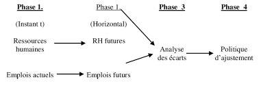 gestion prévisionnelle des ressources humaines
