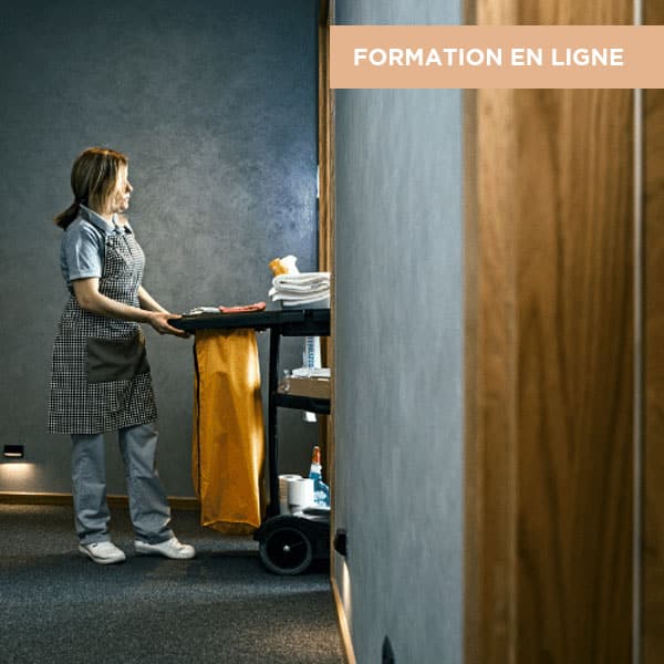 formation gestion en ligne