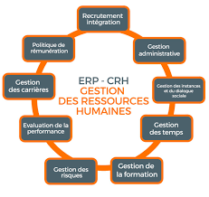 du gestion des ressources humaines