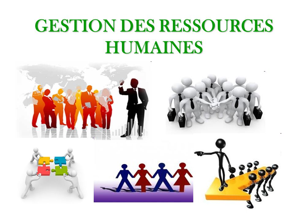 formation en management des ressources humaines