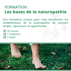 formation en naturopathie en ligne