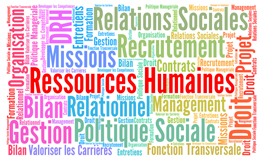 ressource humaines
