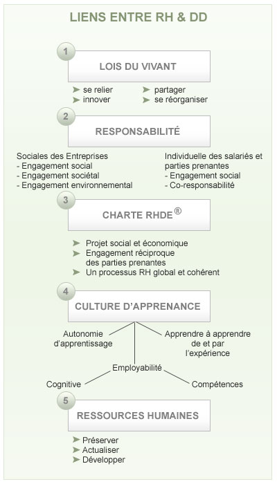 développement ressources humaines